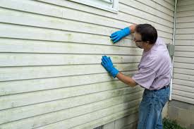 Affordable Siding Repair and Maintenance Services in Coal Grove, OH